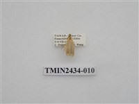 藏品(雙線苔蛾)的圖片